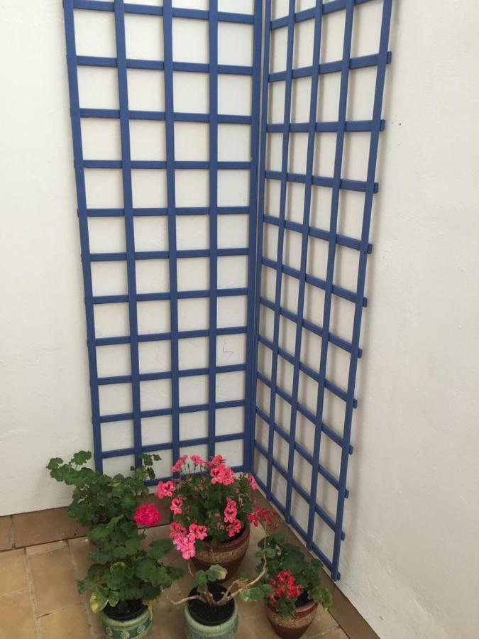 Apartamento Balneario playa Caleta Cádiz Exterior foto